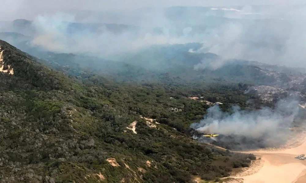 Αυστραλία: Υπό έλεγχο τέθηκε η γιγάντια πυρκαγιά στη νήσο Φρέιζερ